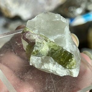Watermelon tourmaline in quartz Crystal Specimen